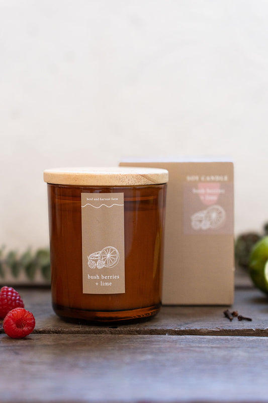 bush berries + lime | amber | soy candle | 50 + hrs