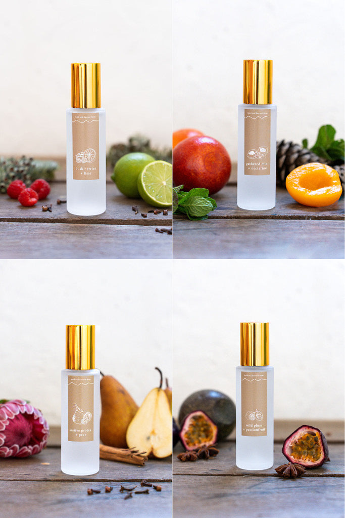 native protea + pear | amber | room spray