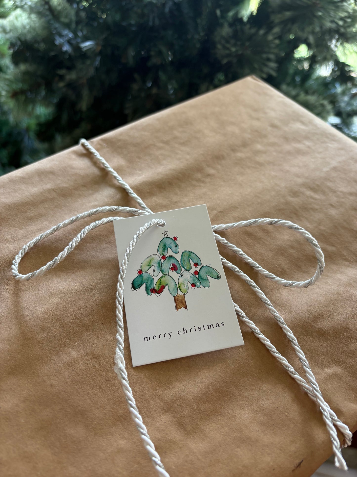 Merry Christmas Tree Tags (10pk)