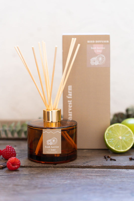 bush berries + lime | amber | reed diffuser