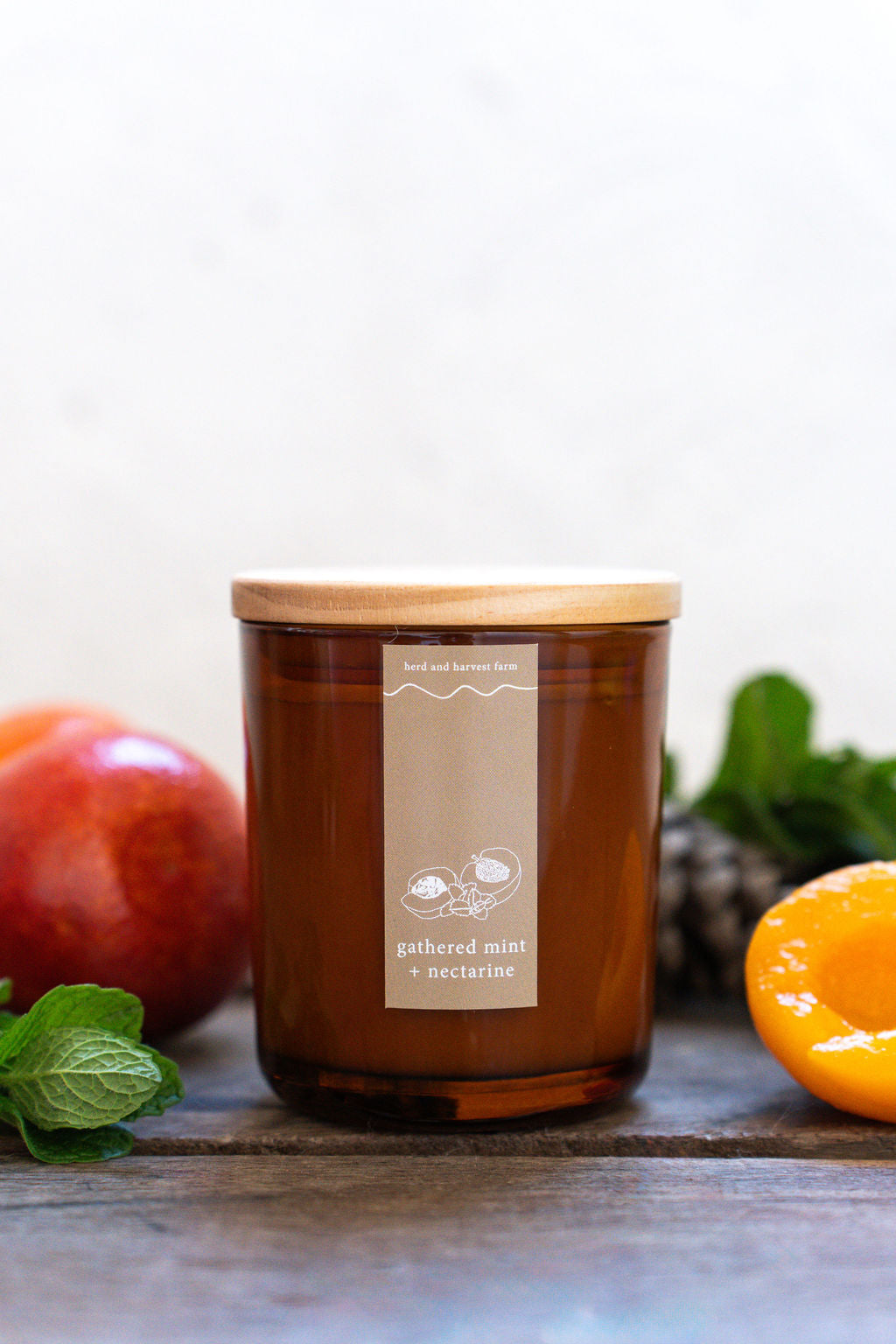 gathered mint + nectarine | amber | soy candle | 50 + hrs