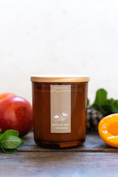 gathered mint + nectarine | amber | soy candle | 50 + hrs