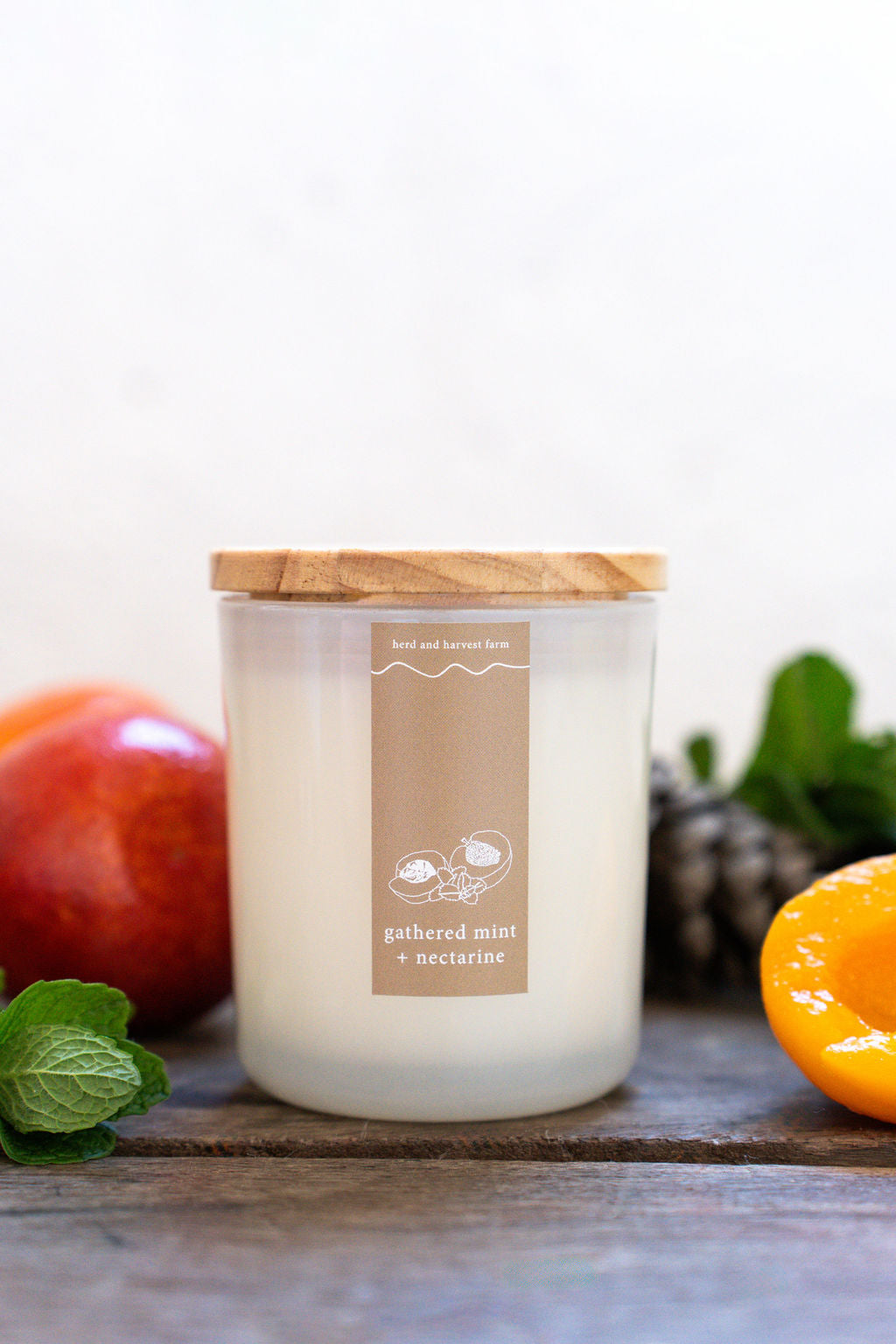 gathered mint + nectarine | white | soy candle | 50 + hrs