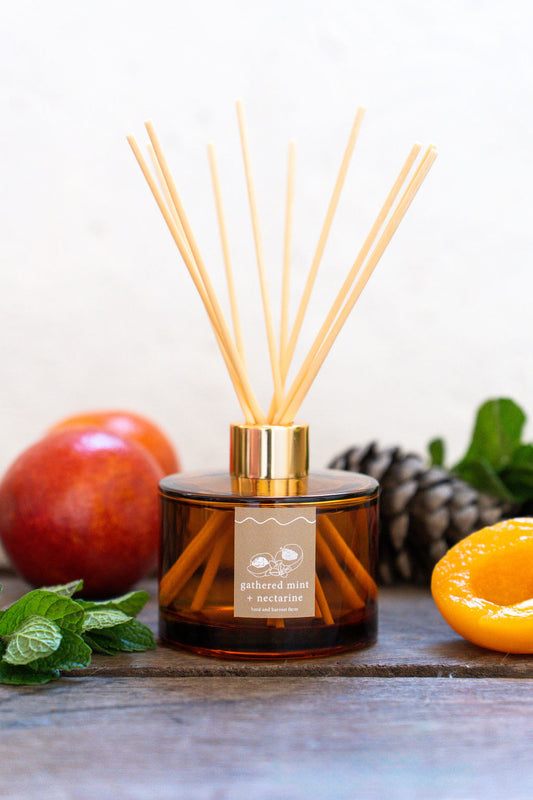 gathered mint + nectarine | amber | reed diffuser