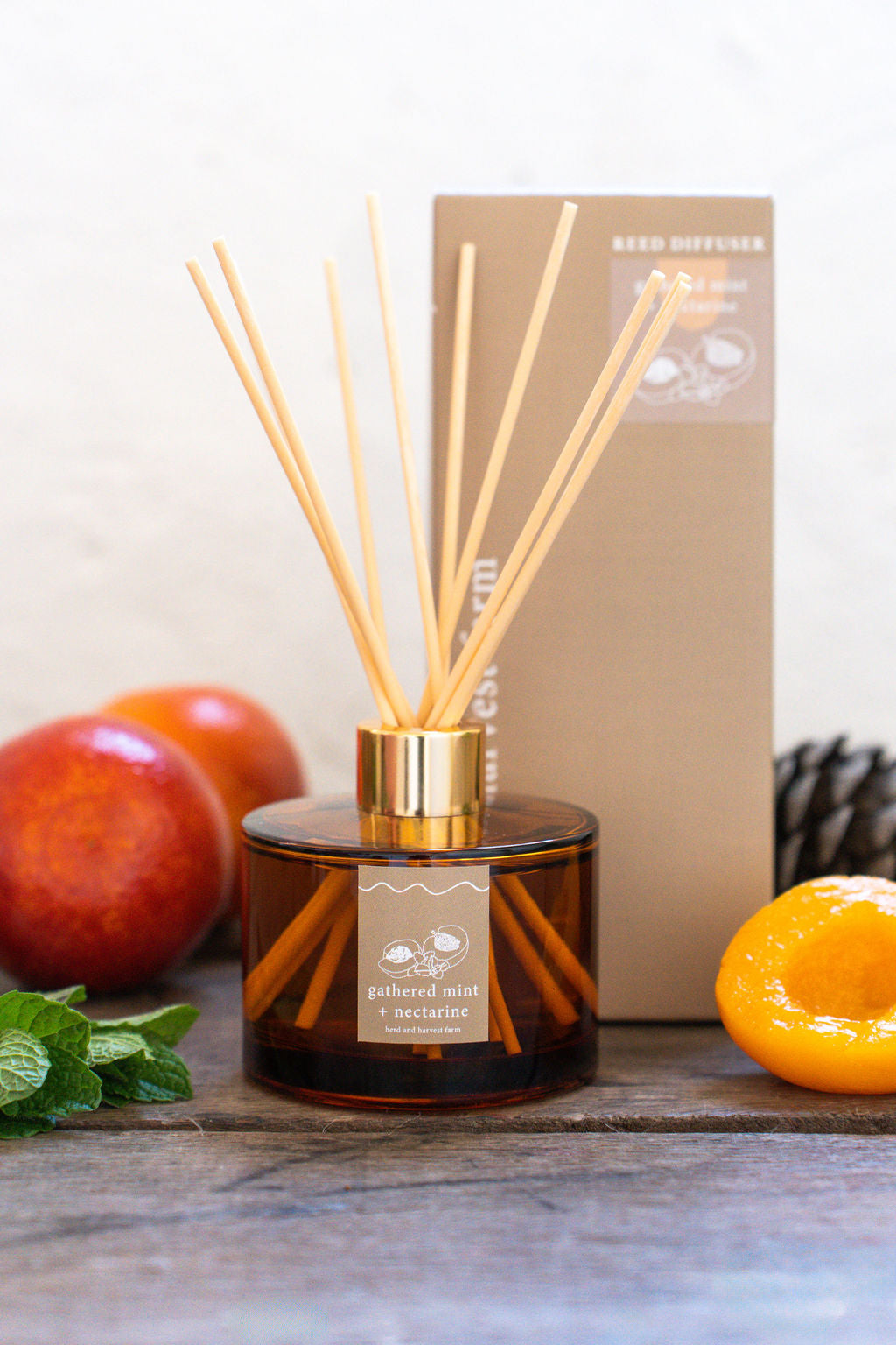 gathered mint + nectarine | amber | reed diffuser