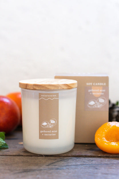 gathered mint + nectarine | white | soy candle | 50 + hrs