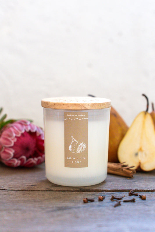 native protea + pear | white | soy candle | 50 + hrs