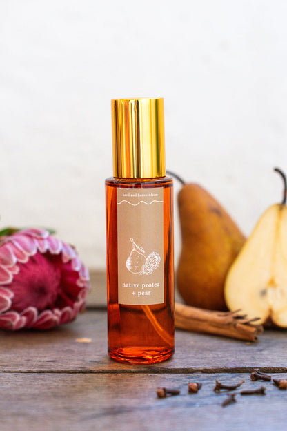 native protea + pear | amber | room spray