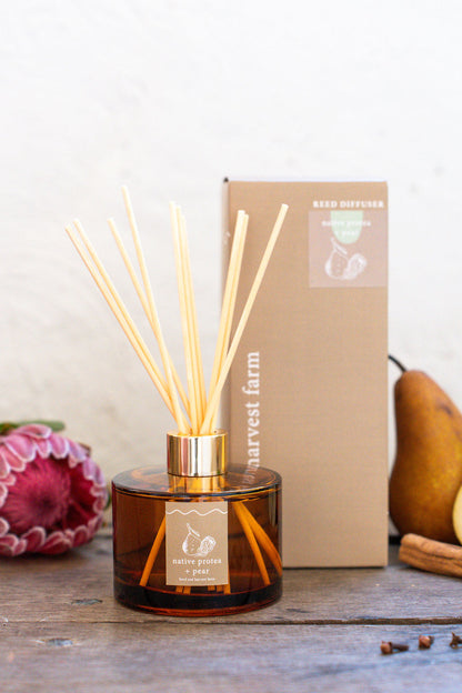 native protea + pear | amber | reed diffuser