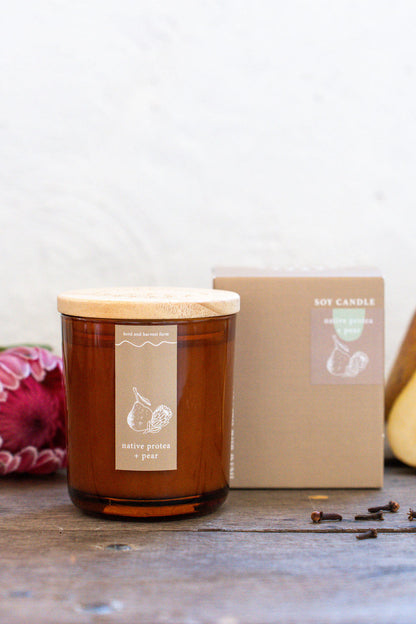 native protea + pear | amber | soy candle | 50 + hrs