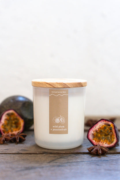 wild plum + passionfruit | white | soy candle | 50 + hrs