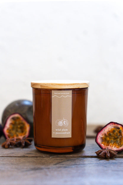 wild plum + passionfruit | amber | soy candle | 50 + hrs
