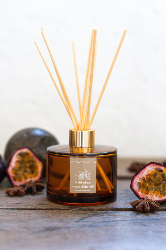 wild plum + passionfruit | amber | reed diffuser