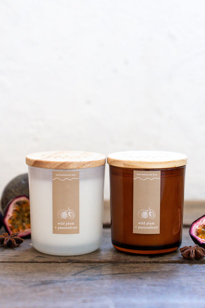 wild plum + passionfruit | amber | soy candle | 50 + hrs