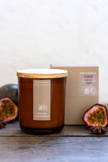 wild plum + passionfruit | amber | soy candle | 50 + hrs