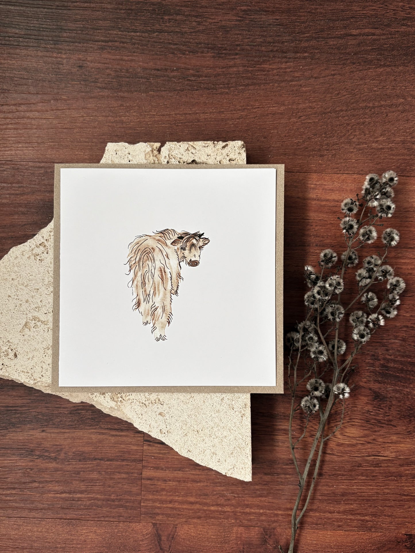 blank highland cow card