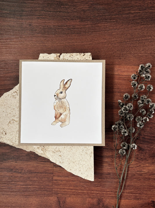 blank bunny card