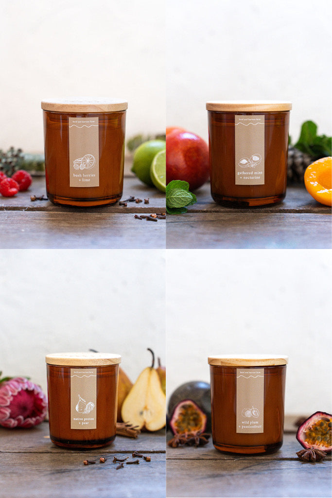 native protea + pear | amber | soy candle | 50 + hrs