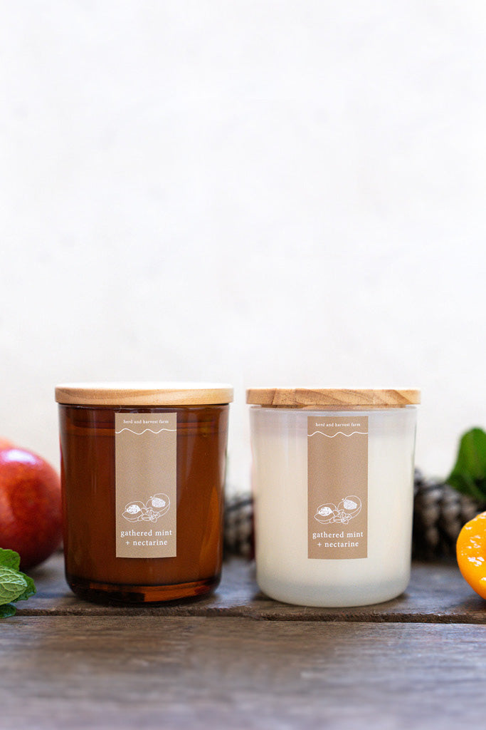 gathered mint + nectarine | white | soy candle | 50 + hrs