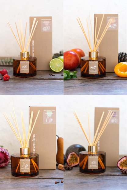 gathered mint + nectarine | amber | reed diffuser