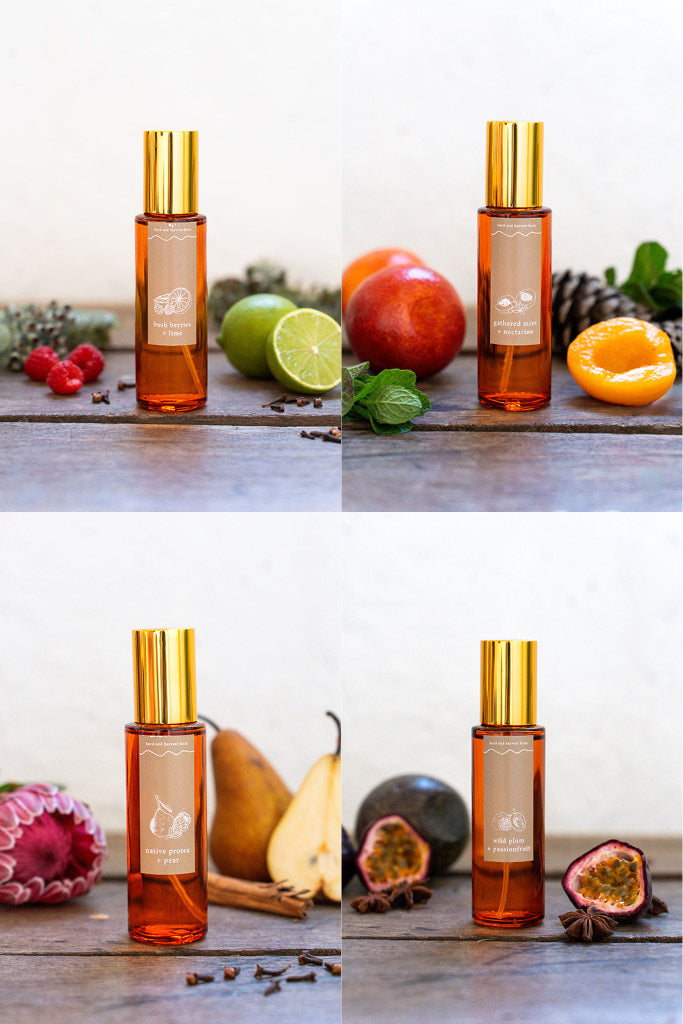 native protea + pear | amber | room spray