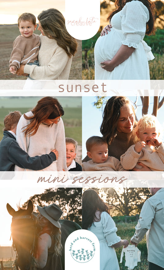 sunset minis 2025 | photo sessions