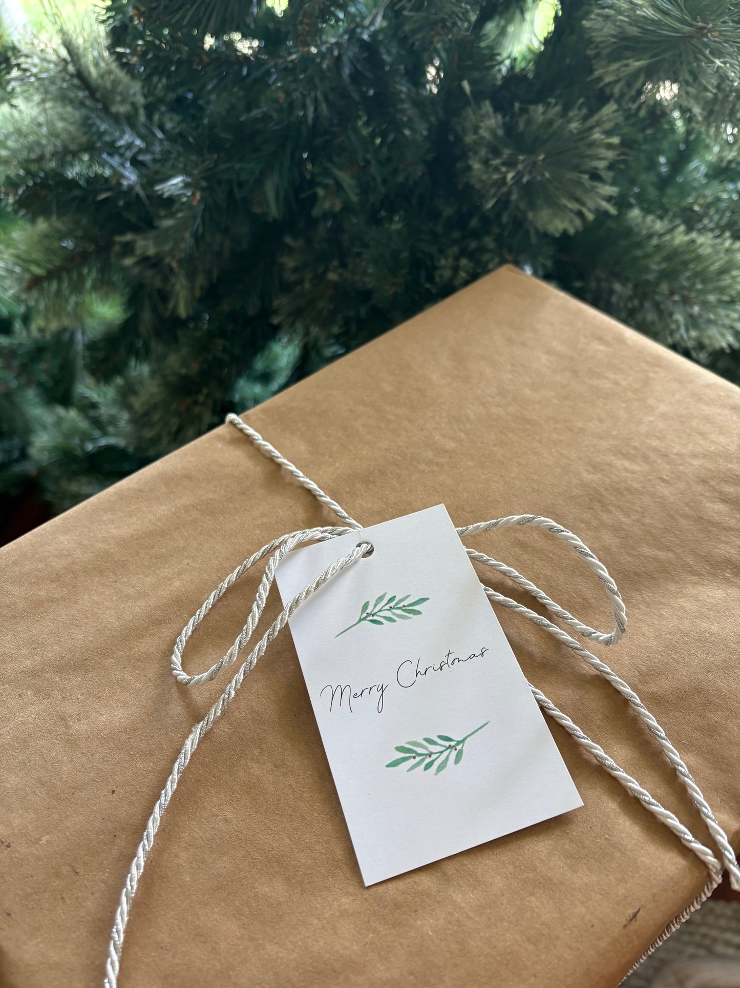 Merry Christmas Verticle Tags (10pk)