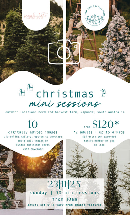 christmas minis 23.11.25 | photo sessions