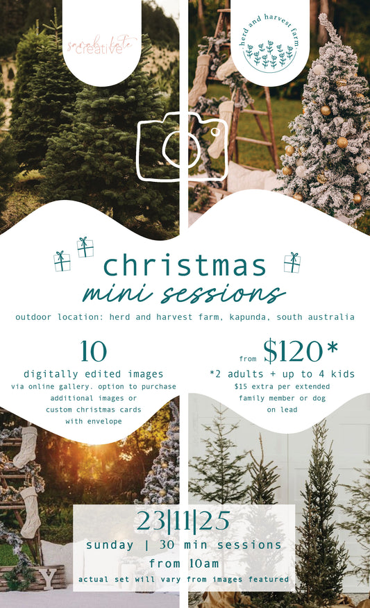christmas minis 23.11.25 | photo sessions