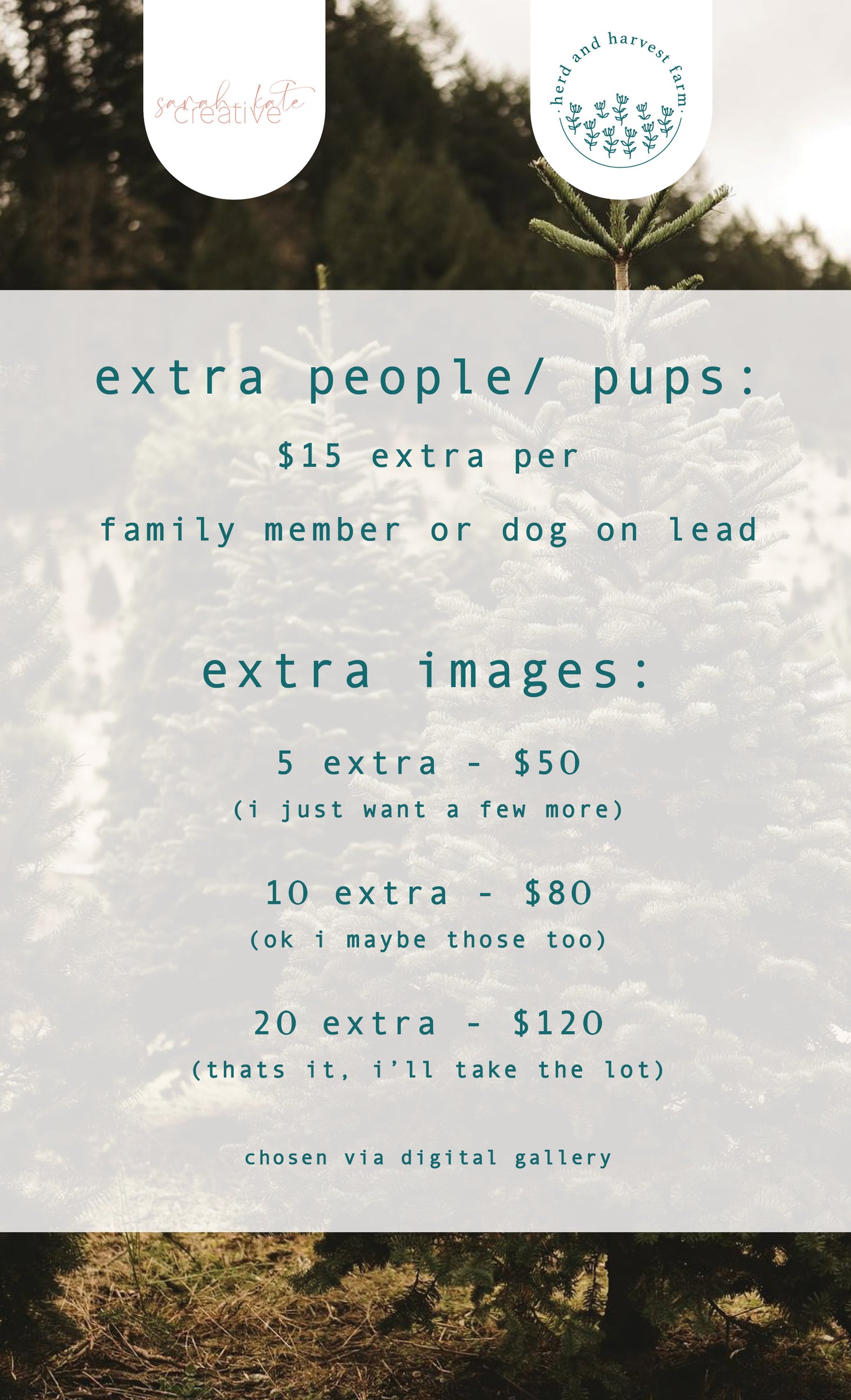 christmas minis 23.11.25 | photo sessions