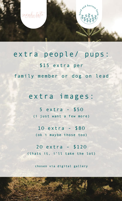 christmas minis 23.11.25 | photo sessions