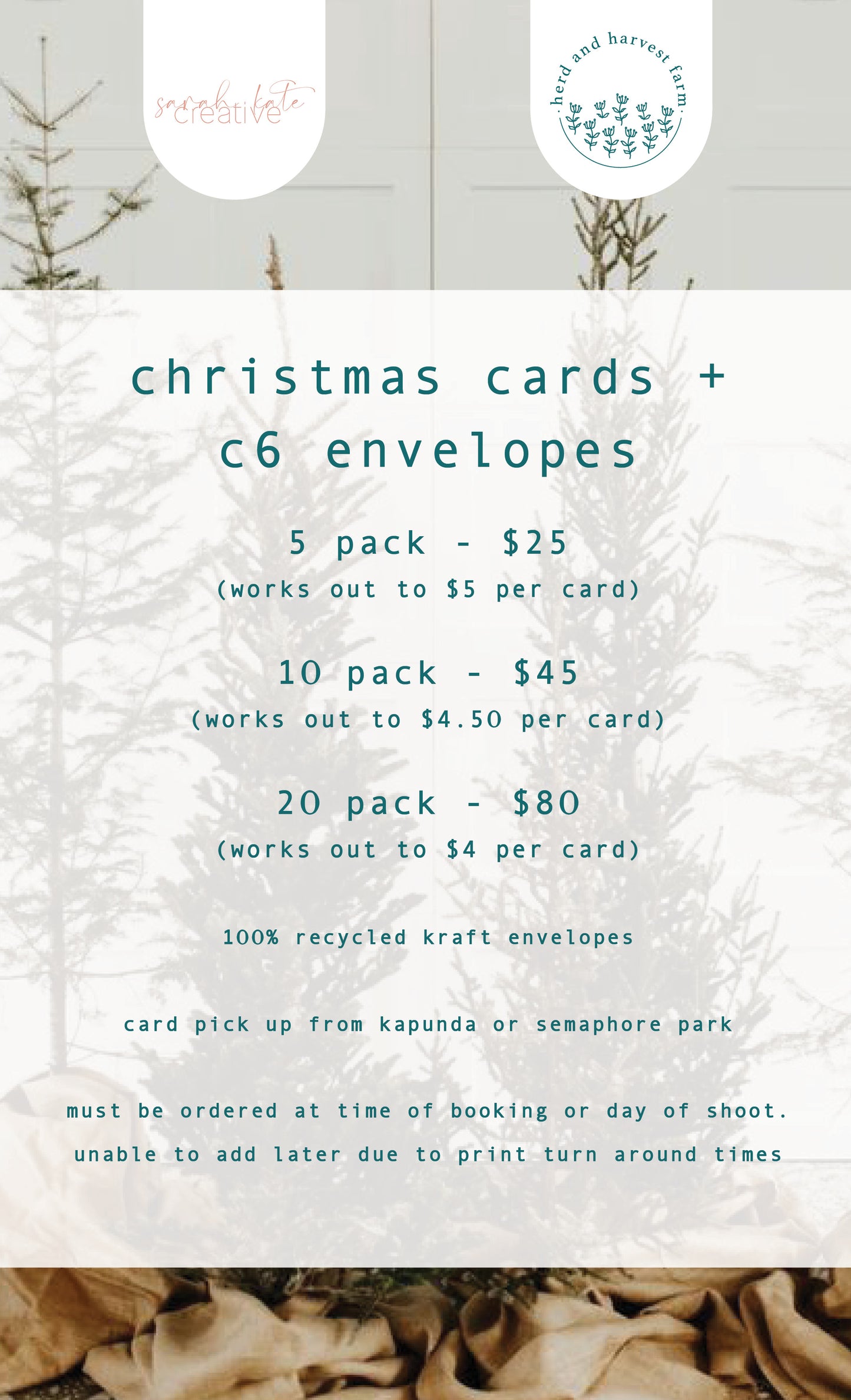 christmas minis 23.11.25 | photo sessions