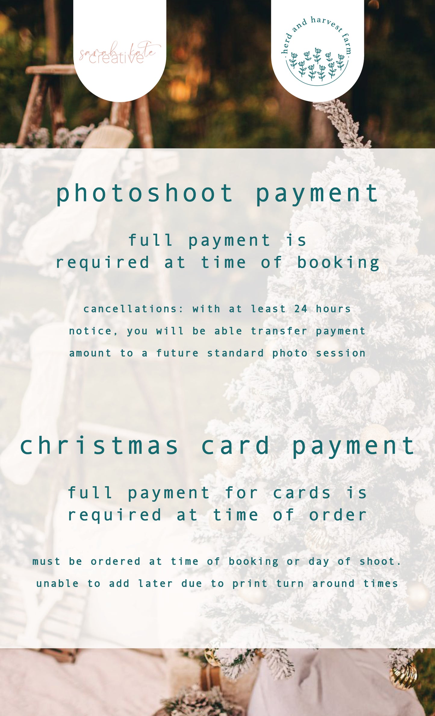 christmas minis 23.11.25 | photo sessions